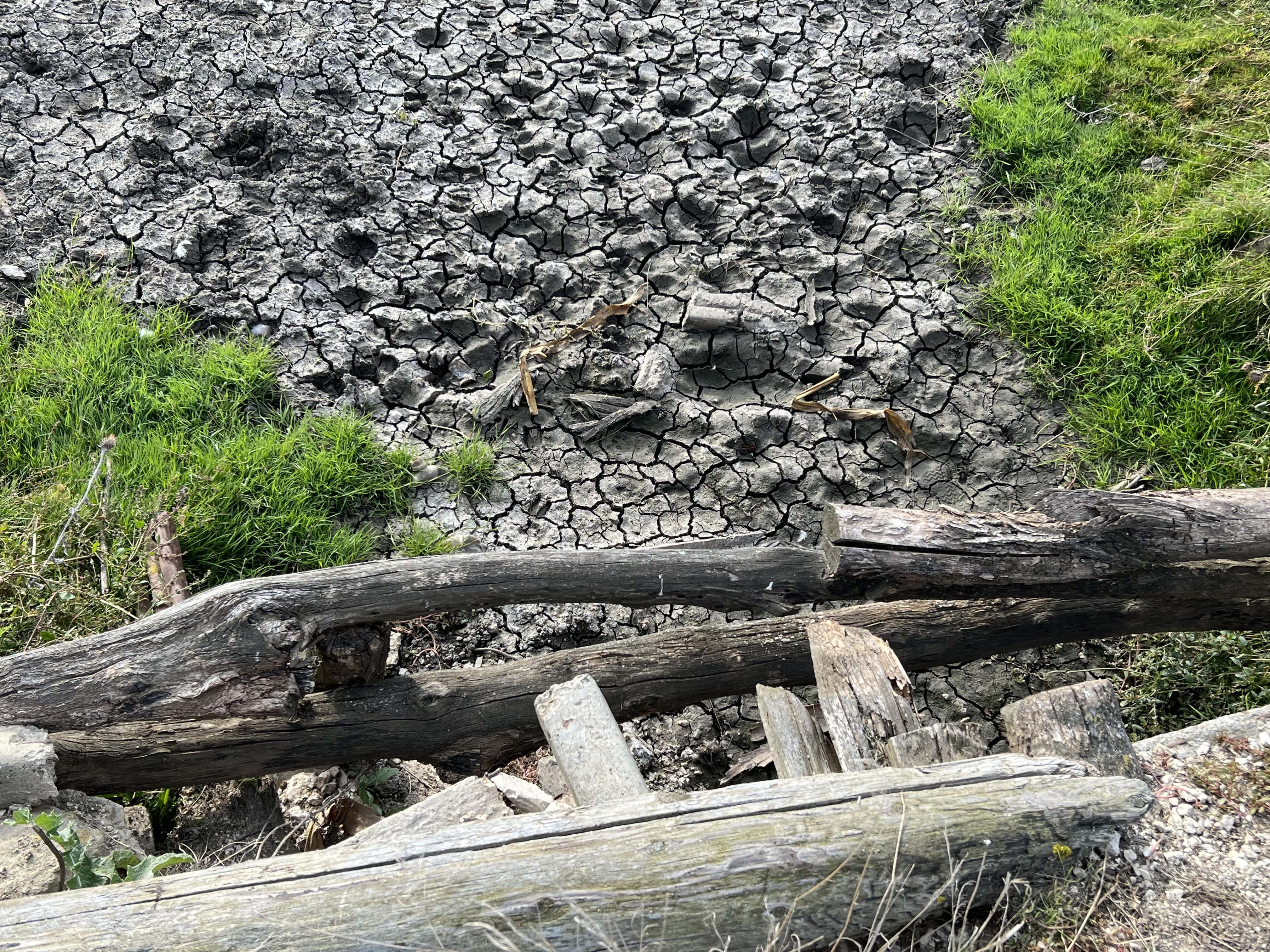 Dry river in Bursuceni. . Dams are only one part of a much more complex situation. Climate change and decades of river engineering — channel straightening, embankments, and disconnection from floodplains — all contribute to declining flows 